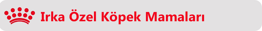 ırka özel köpek son.jpg (622 KB)