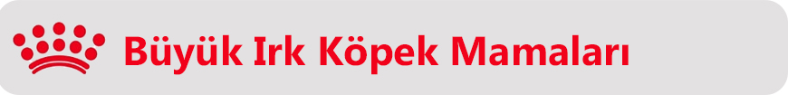 büyük ırk köpek.jpg (623 KB)