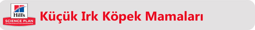 hills küçük ırk köpek.jpg (625 KB)