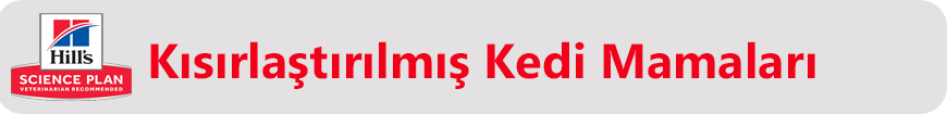 hills kısır kedi.jpg (626 KB)