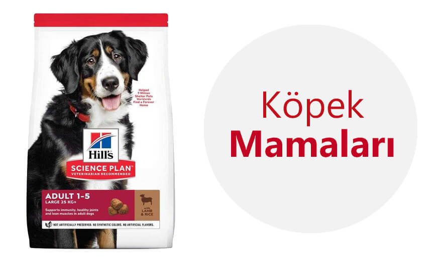 köpek mamaları.jpg (166 KB)