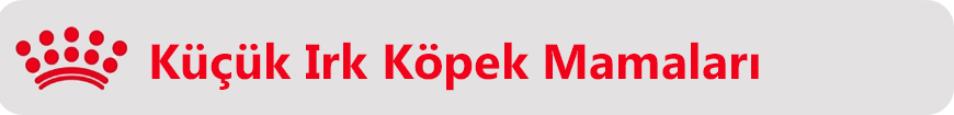 küçük ırk son.jpg (623 KB)
