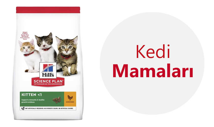 kedi mamaları.jpg (135 KB)