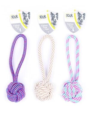 ALLYPAWS - AllyPaws Köpekler Için Diş Ipi 28 cm
