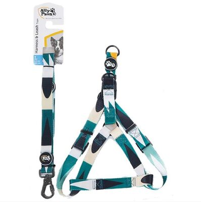 ALLYPAWS - Allypaws Harness And Leash Tape (L) 2,5Cm*120Cm