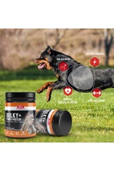 Bio Pet Active Bulky Power - Köpekler İçin Kas Geliştirici - Thumbnail