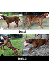 Bio Pet Active Bulky Power - Köpekler İçin Kas Geliştirici - Thumbnail