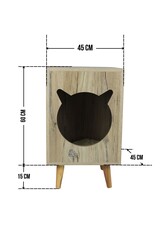 Bonn Kedi Evi - Thumbnail