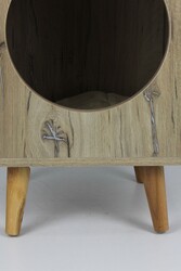 Bonn Kedi Evi - Thumbnail