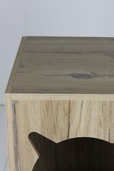 Bonn Kedi Evi - Thumbnail