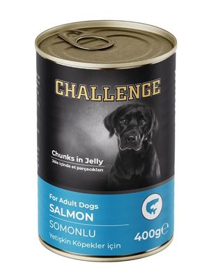 Challenge - Challenge Somonlu Yetişkin Köpek Konservesi 400 gr