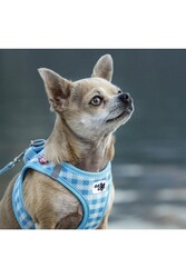 Curli vest Göğüs Tasma Air-mesh Açık Mavi Puantiye 3xs - Thumbnail