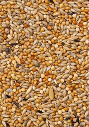 Deli Nature Premium Muhabbet Yemi 1100Gr  - Thumbnail