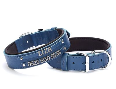Doggie - Doggie Konfor Deri Çift İsimlikli Boyun Tasması 3,5X52-60Cm Mavi