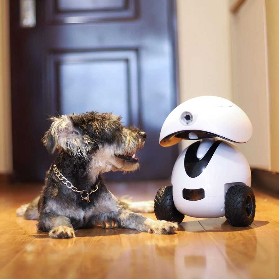 Dogness Smart IPET Robot Akıllı Kedi Köpek Arkadaşı Beyaz