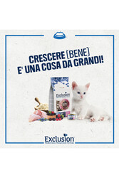 Exclusion Monoprotein Tavuklu Narlı Ve Yaban Mersinli Düşük Tahıllı Yavru Kedi Maması 12kg - Thumbnail