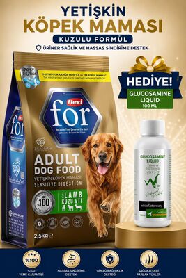 Flexi For - Flexi For Kuzu Etli Yetişkin Köpek Maması 2,5 Kg WhiteVeterinay Glucosamine Liquid Cat&Dog 100 ML Hediye