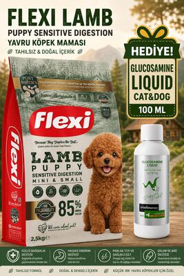 Flexi For - Flexı Puppy Mini Küçük Irk Kuzulu Yavru Köpek Maması 2,5 Kg WhiteVeterinay Glucosamine Liquid Cat&Dog 100 ML Hediye