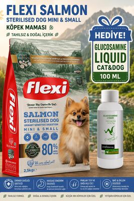 Flexi For - Flexı Somon Balıklı Kısır Köpek Maması 2,5 Kg WhiteVeterinay Glucosamine Liquid Cat&Dog 100 ML Hediye