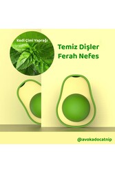 Glipet Avokado Şeklinde Catnipli Doğal Kedi Yalama Topu 6 Cm - Thumbnail