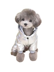 Glipet Bomber Ceket Köpek Kıyafeti Parlak Gri S - Thumbnail