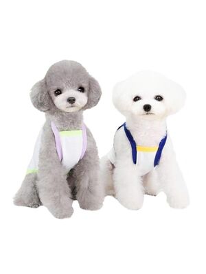 Glipet - Glipet Bruch Desenli Köpek Kıyafeti Mavi L