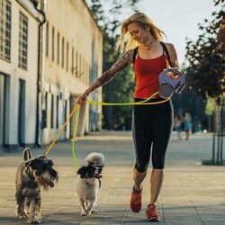 Glipet Çift Geri Çekilebilir İkili Köpek Tasması 3m - Thumbnail
