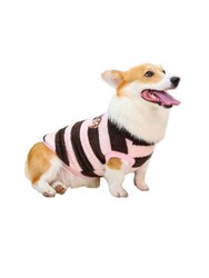 Glipet Çizgili Köpek Kazağı Siyah Pembe 4XL - Thumbnail