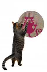 Glipet Desenli Çift Taraflı Kedi Tırmalama Paspası Yuvarlak Pink 36*36 Cm - Thumbnail