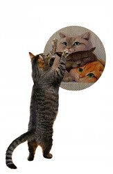 Glipet Desenli Çift Taraflı Kedi Tırmalama Paspası Yuvarlak Three Cat 36*36 Cm - Thumbnail
