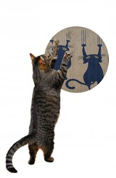 Glipet Desenli Çift Taraflı Kedi Tırmalama Paspası Yuvarlak Twoblue 36*36 Cm - Thumbnail