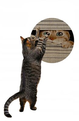 Glipet - Glipet Desenli Çift Taraflı Kedi Tırmalama Paspası Yuvarlak Watch 36*36 Cm