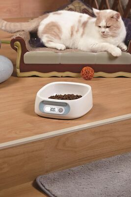 Glipet - Glipet Dijital Kedi Köpek Mama Ve Su Kabı Elektronik Beslenme Kabı 2kg/1g