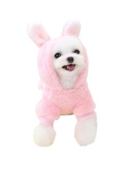 Glipet Havuçlu Polar Köpek Kıyafeti Bej M - Thumbnail