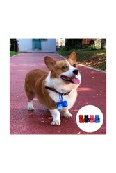 Glipet Köpek Dışkı Taşıma Aparatı + 6'lı Yedek Poşet Seti - Thumbnail