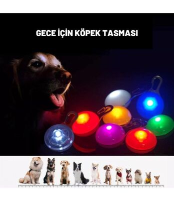 Glipet - Glipet Köpekler İçin Işıklı Tasma Aparatı