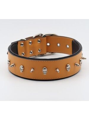 Glipet - Glipet Kuru Kafalı Ve Çivili Sarı Renkli Destekli Yumuşak Doku Köpek Boyun Tasması 4x65 Cm