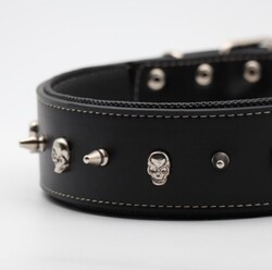 Glipet Kuru Kafalı Ve Çivili Siyah Renkli Destekli Yumuşak Doku Köpek Boyun Tasması 4x65 Cm - Thumbnail