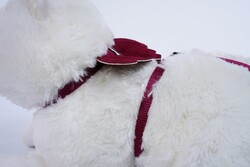 Glipet Melek Kanatlı Kedi Göğüs Tasması Bordo - Thumbnail