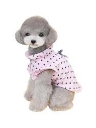 Glipet Pileli Puantajlı Köpek Elbisesi Pembe L - Thumbnail