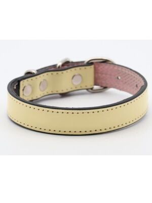 Glipet - Glipet Rugan Yumuşak Dokulu Köpek Boyun Tasması Sarı 2,5x40 Cm