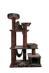 İstanbul Tırmalamalı Kedi Evi - Thumbnail