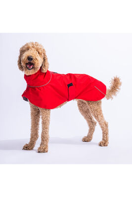 Pawstar - Kırmızı Colombia Orta ve Büyük Irk Köpek Yağmurluğu Köpek Kıyafeti Köpek Elbisesi