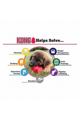 KONG - KONG Extreme Köpekler için Çok Amaçlı Isırma Oyuncağı Ultra Sert XXL
