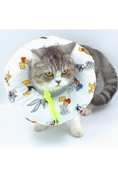 Lepus Kedi ve Köpek Boyunluk Elizabeth Yakalık Operasyon Boyunluk No3 S - Thumbnail