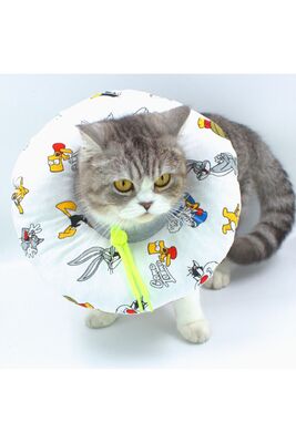 Lepus - Lepus Kedi ve Köpek Boyunluk Elizabeth Yakalık Operasyon Boyunluk No3 S