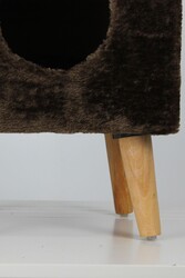 Linz Kedi Evi - Thumbnail