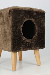 Linz Kedi Evi - Thumbnail