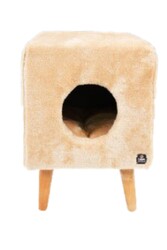 Linz Kedi Evi - Thumbnail