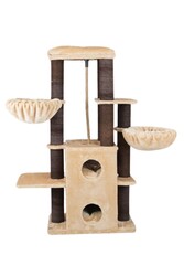 Londra Tırmalamalı Kedi Evi - Thumbnail